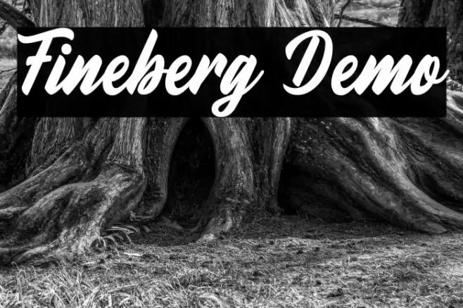 Fineberg Demo Font examples