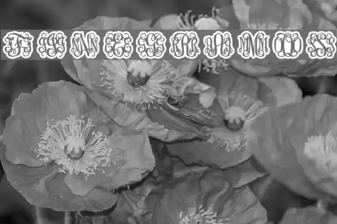 Finegramos Font examples