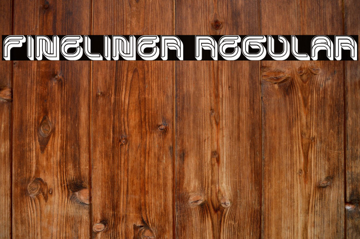 Fineliner Regular Example 2