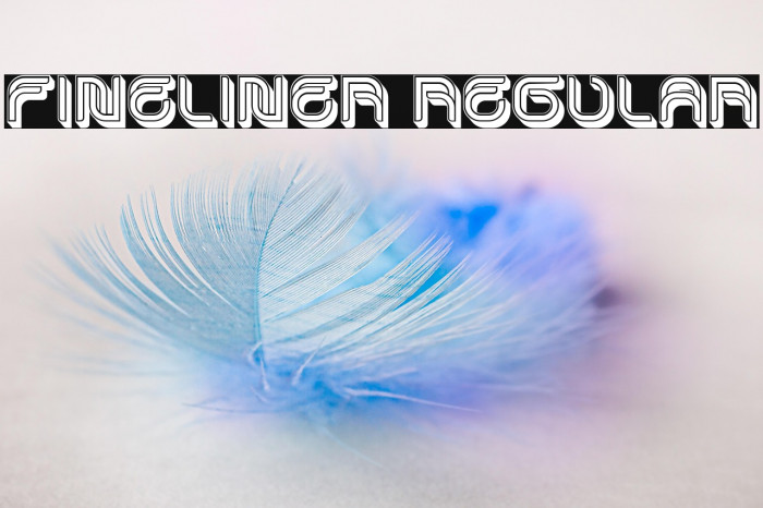 Fineliner Regular Example 3