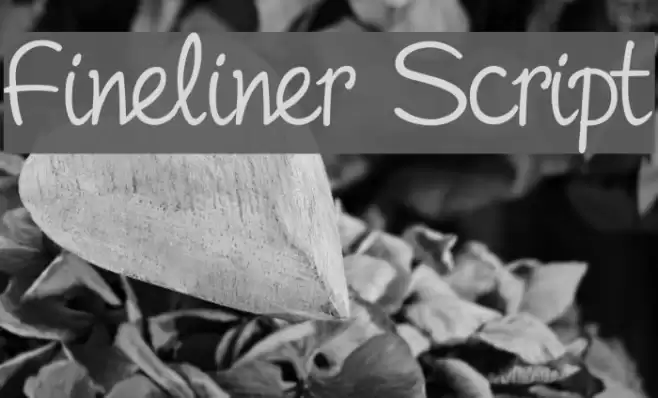Fineliner Script Font examples
