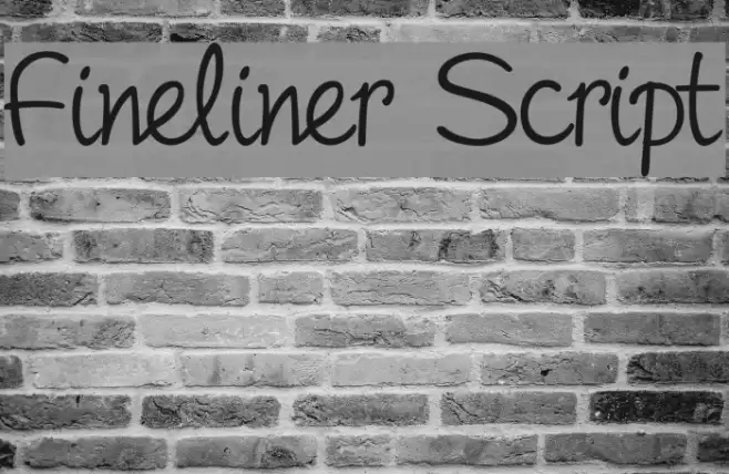 Fineliner Script Font examples