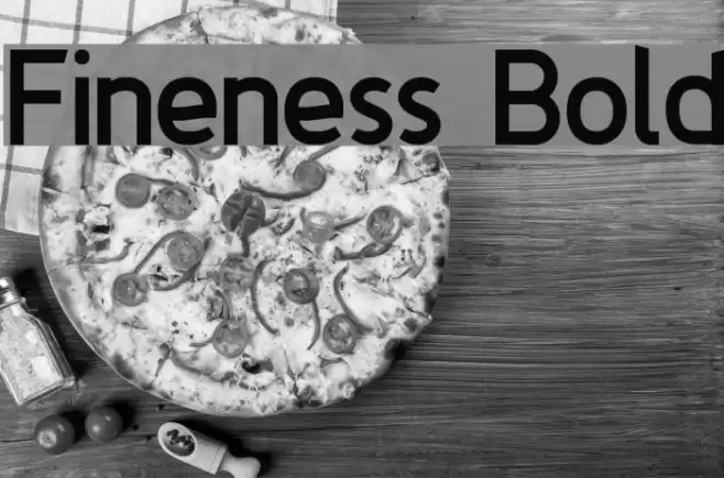 Fineness Bold Font examples