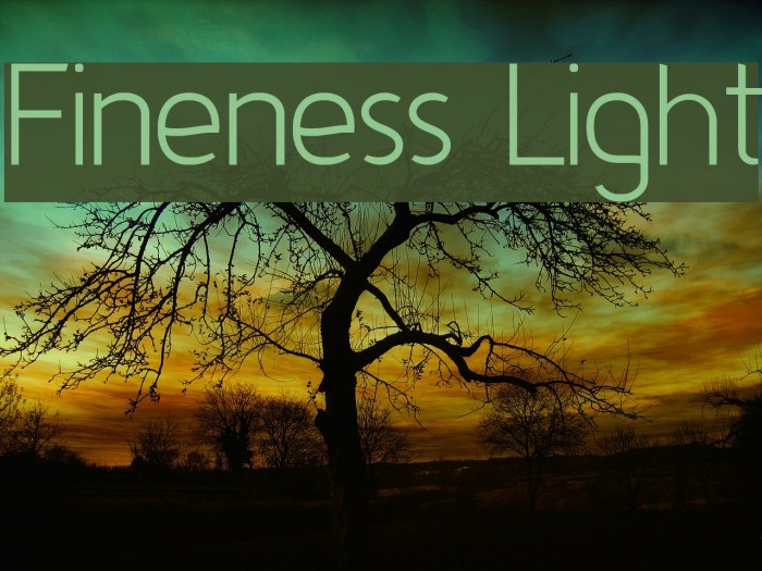 Fineness Light Font examples