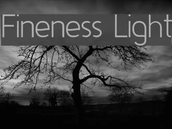 Fineness Light  examples