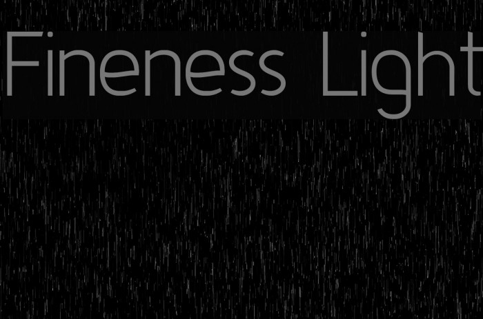 Fineness Light Font examples