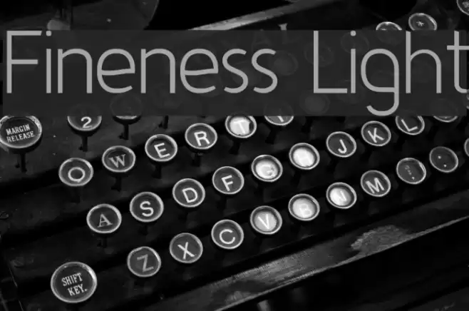 Fineness Light  examples