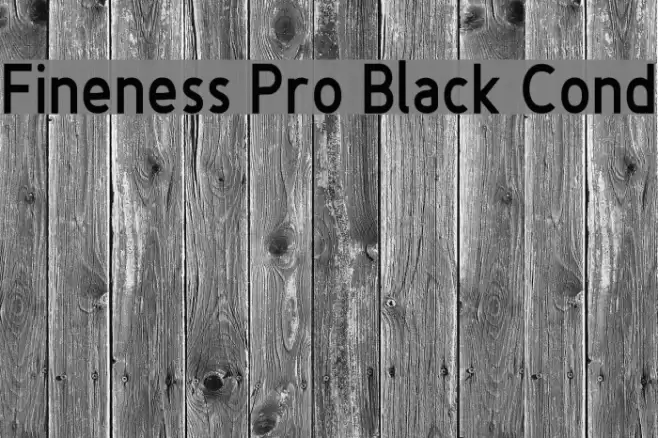 Fineness Pro Black Cond Font examples