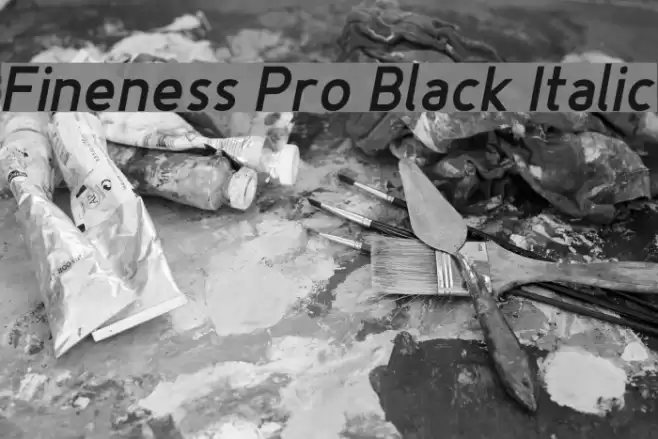 Fineness Pro Black Italic Font examples