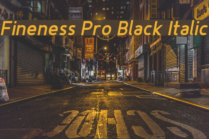 Fineness Pro Black Italic Font examples