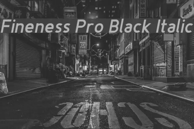 Fineness Pro Black Italic Font examples