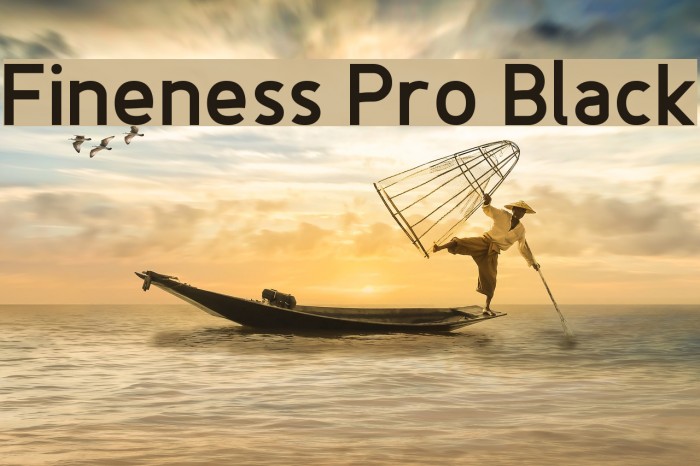 Fineness Pro Black Font examples