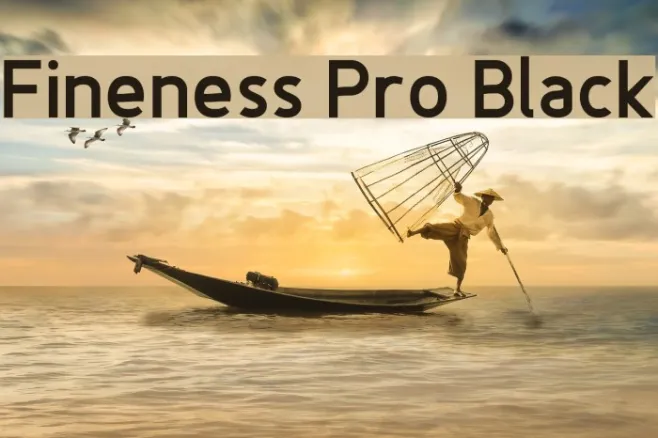 Fineness Pro Black Example 1