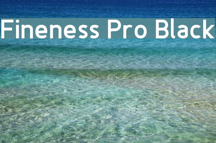 Fineness Pro Black Font examples