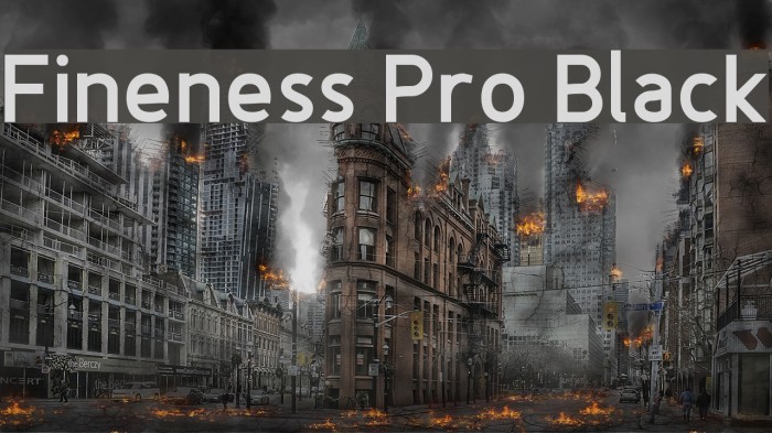 Fineness Pro Black Font examples