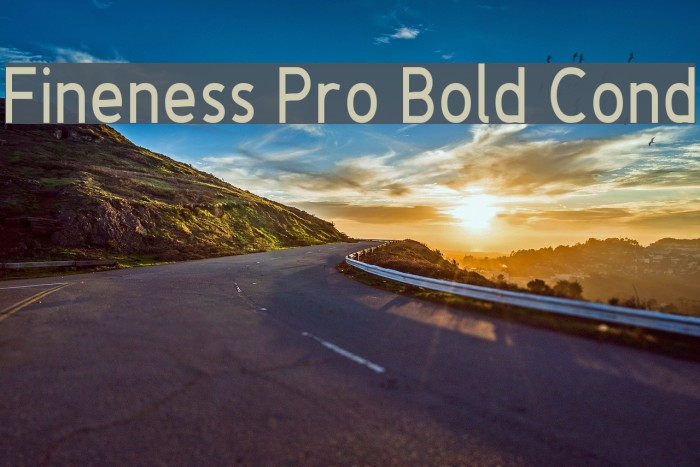 Fineness Pro Bold Cond Font examples