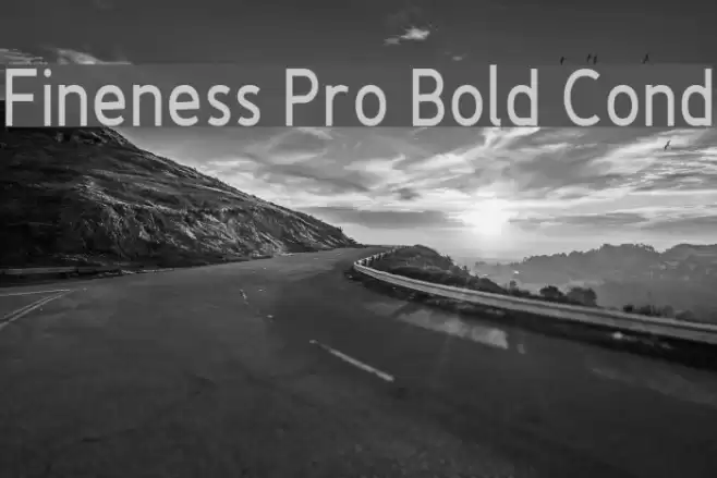 Fineness Pro Bold Cond Font examples