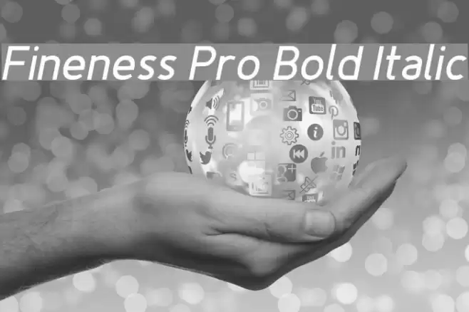 Fineness Pro Bold Italic Font examples