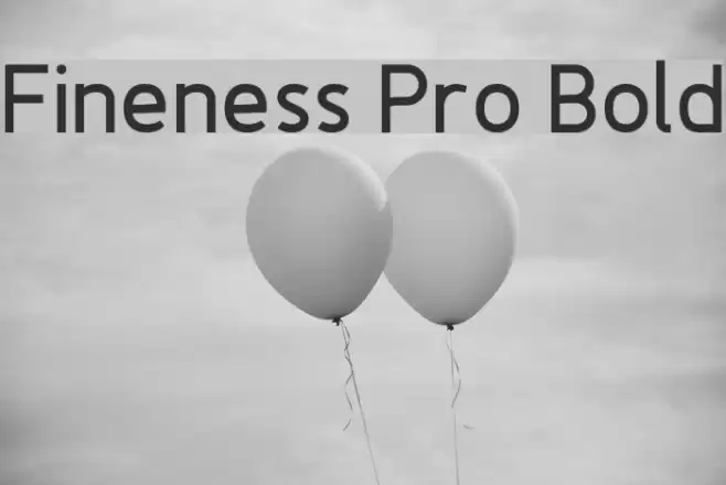 Fineness Pro Bold Font examples