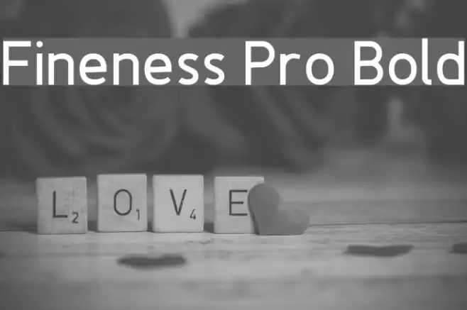Fineness Pro Bold Font examples