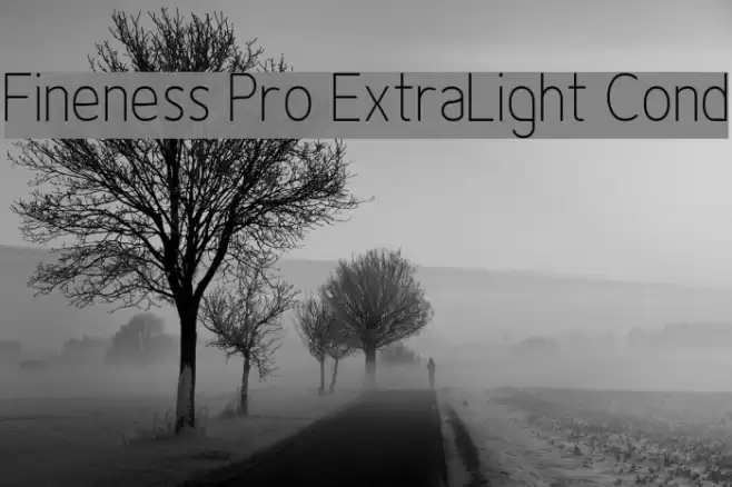 Fineness Pro ExtraLight Cond Font examples