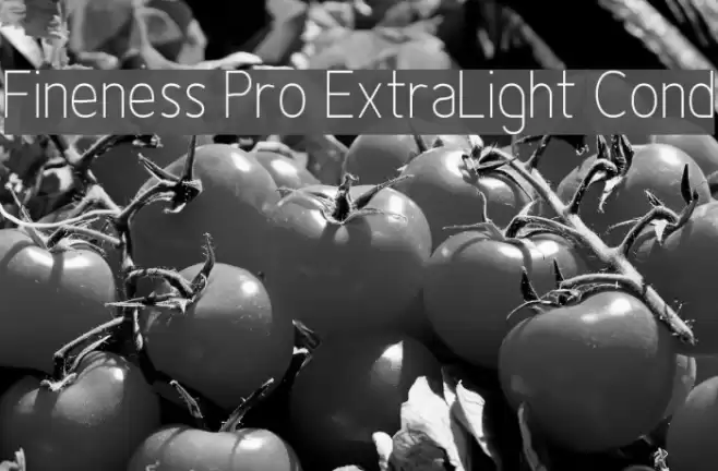 Fineness Pro ExtraLight Cond Font examples