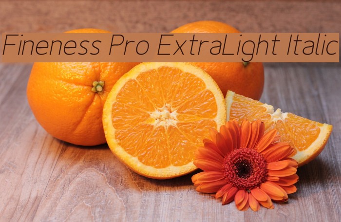 Fineness Pro ExtraLight Italic Font examples