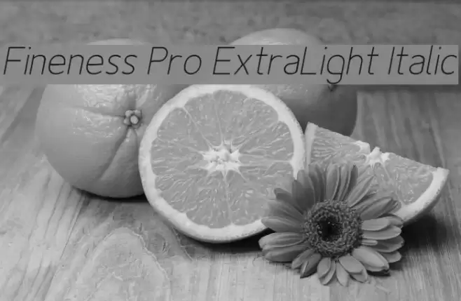 Fineness Pro ExtraLight Italic examples