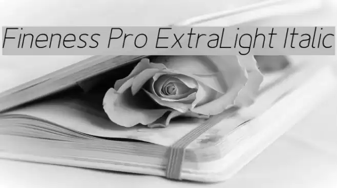 Fineness Pro ExtraLight Italic examples