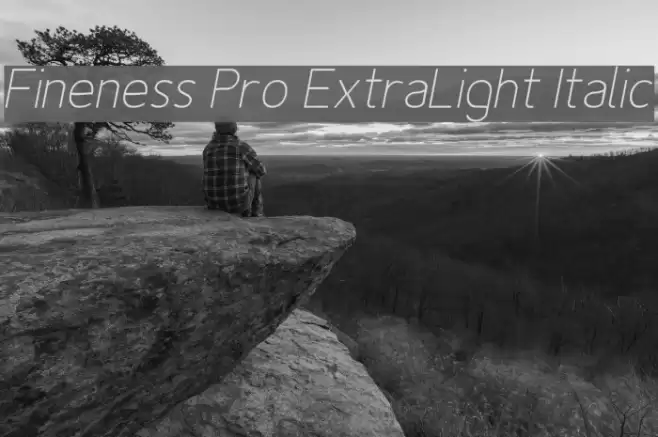 Fineness Pro ExtraLight Italic examples