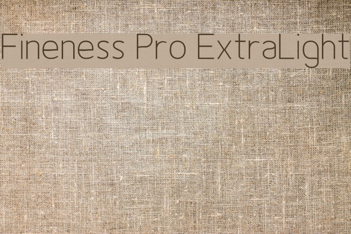 Fineness Pro ExtraLight Font examples