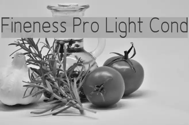 Fineness Pro Light Cond خط examples