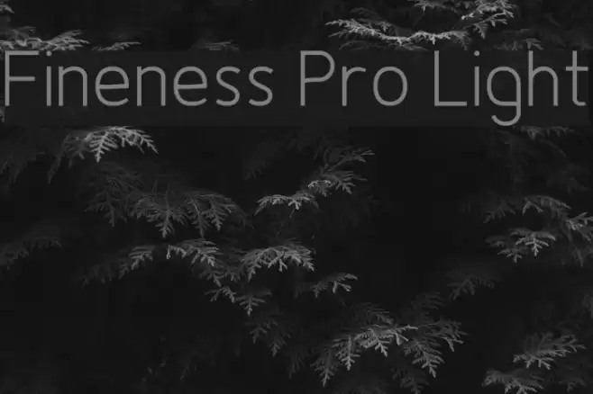 Fineness Pro Light Font examples