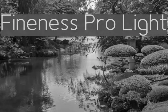 Fineness Pro Light Font examples