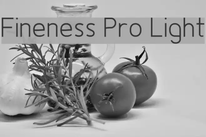 Fineness Pro Light Font examples