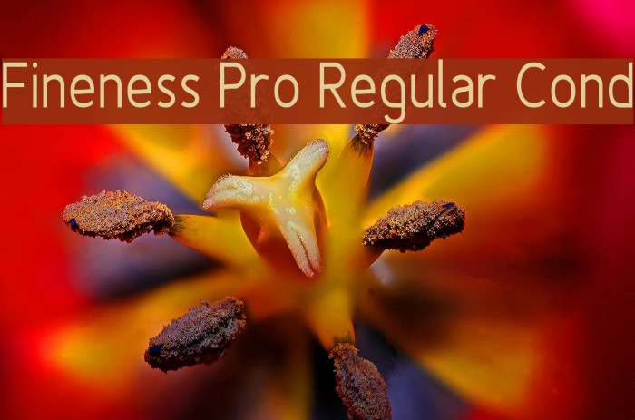 Fineness Pro Regular Cond Font examples