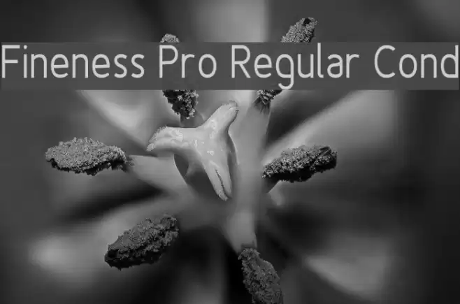 Fineness Pro Regular Cond Font examples