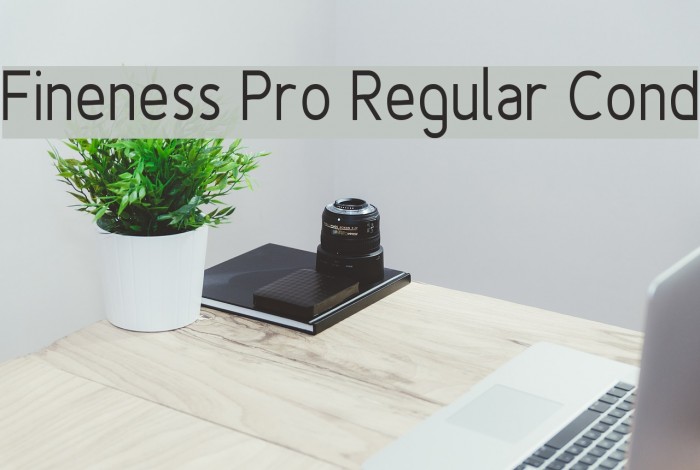 Fineness Pro Regular Cond Font examples