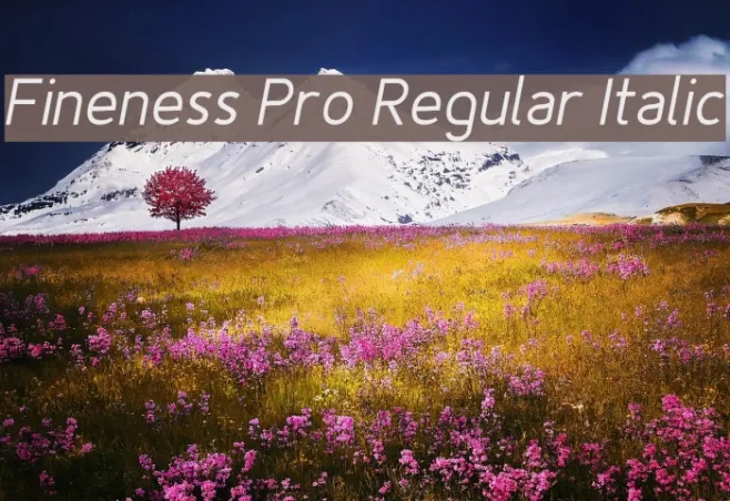 Fineness Pro Regular Italic Example 3