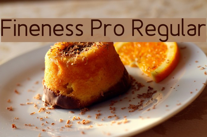 Fineness Pro Regular Font examples
