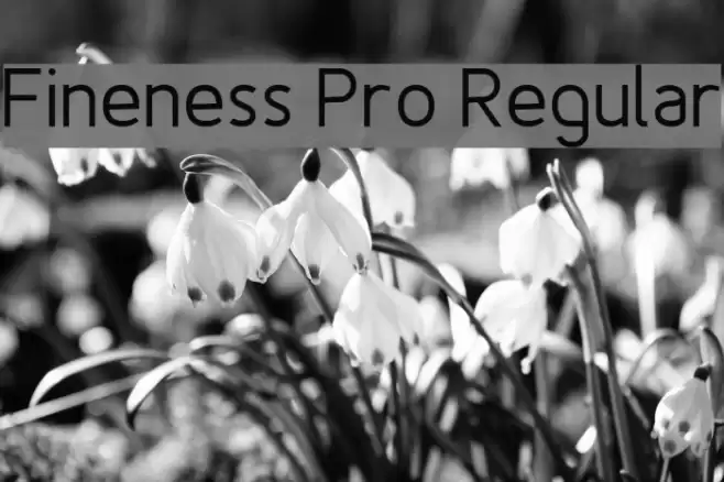 Fineness Pro Regular Font examples