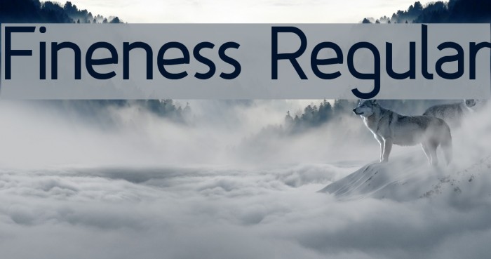 Fineness Regular Font examples