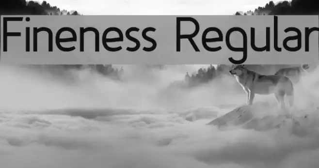 Fineness Regular Font examples