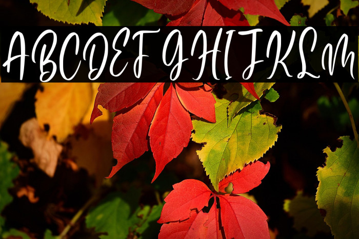 Finest Butter Personal Use Example 1