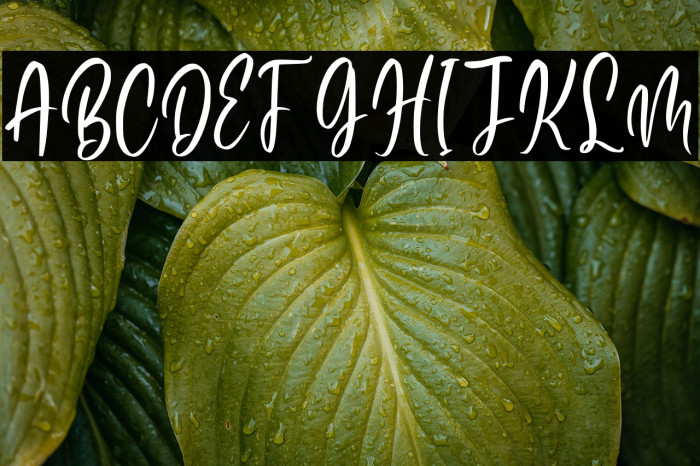 Finest Butter Personal Use Example 3