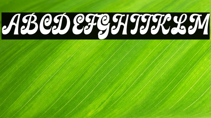 Finest Vintage Regular Example 1