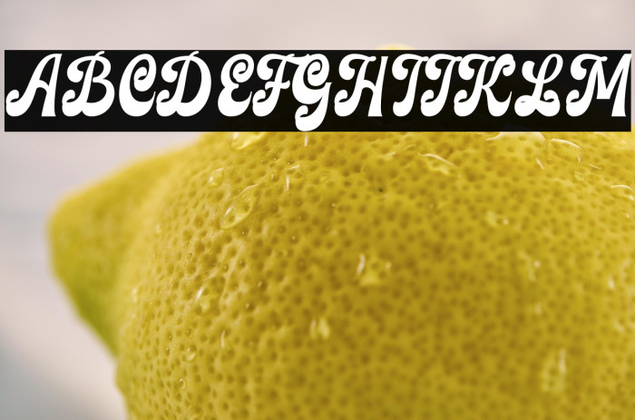 Finest Vintage Regular Example 3