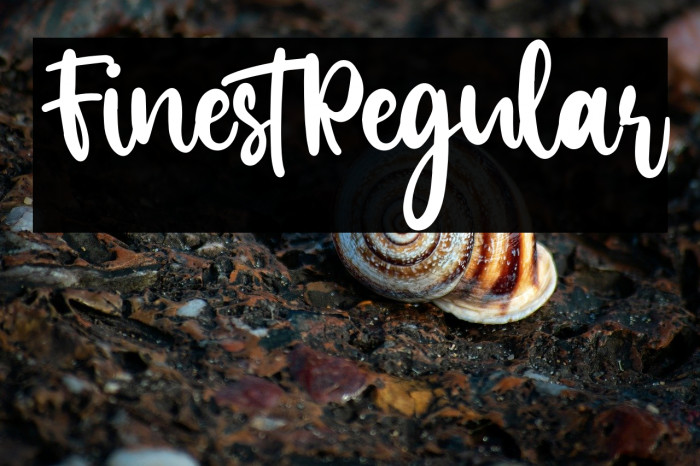 FinestRegular Example 1