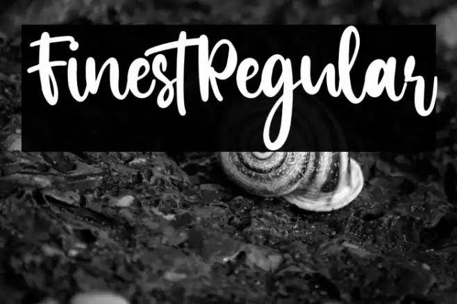 FinestRegular Font examples