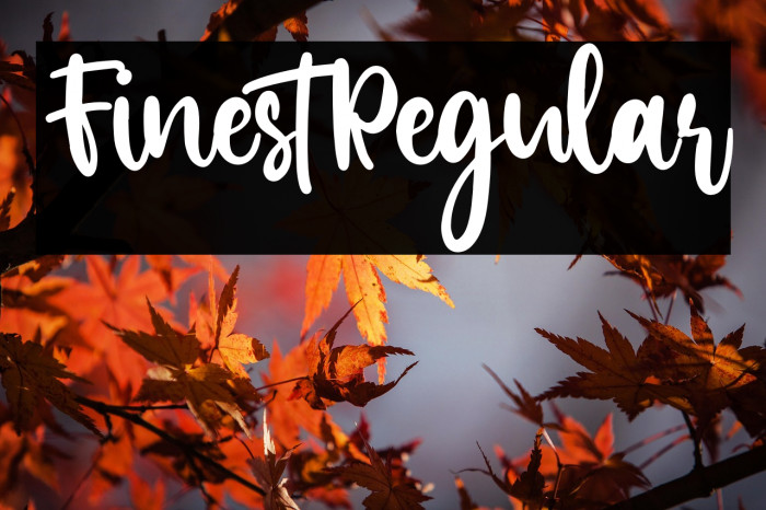 FinestRegular Example 2